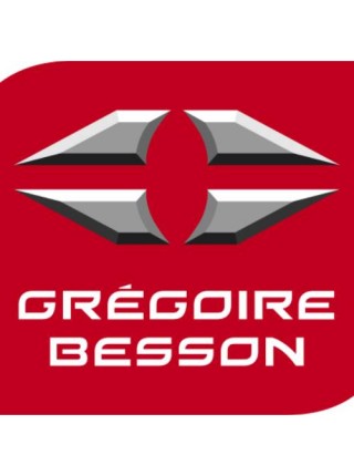 Gregoire Besson