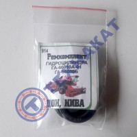 Р/к гидроцилиндра воздухозаборника (ГА-66010)