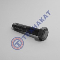 Болт М10х60 DIN931 (ГОСТ 7805-70) Украина